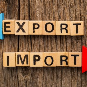 EU Importers/Exporters Would Need A Customs Agent